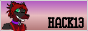 hack13